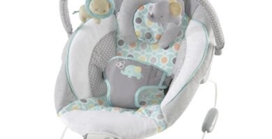 Ingenuity Soothing Baby Bouncer - Asiento infantil con vibraciones, barra de juguete y sonidos, 0-6 meses hasta 20 libras (Morrison)