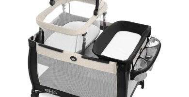 Graco Pack 'n Play Day2Dream - Moisés de viaje con cambiador de pañales portátil y más (Lo, Lo, W/Fold Flat Moisés)